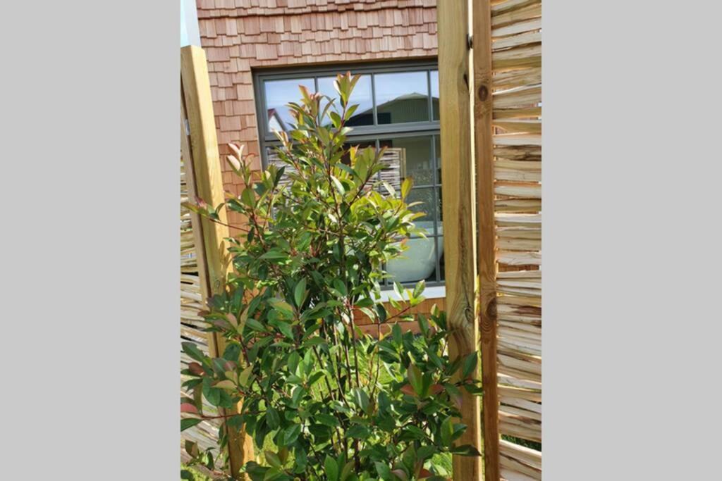 Tiny Loft Im Suedhessischen Ried Trebur Exterior foto